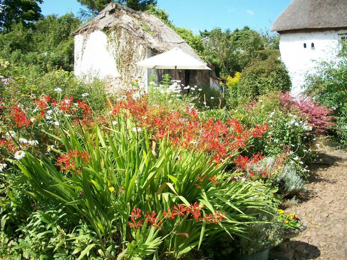 Middletown Farmhouse B&B Okehampton Exterior foto